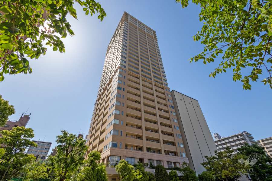 タワーザ上町台の外観（南東側から）