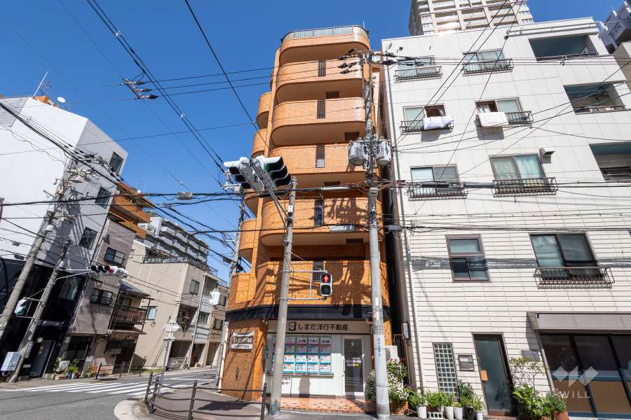 ノバカネイチ上町台の外観（西側から）