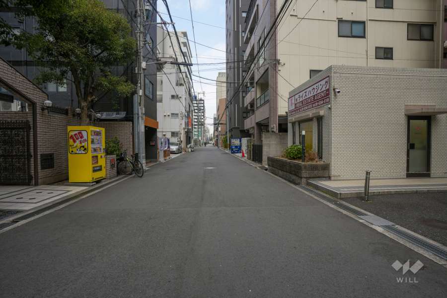 敷地西側の前面道路（南側から）