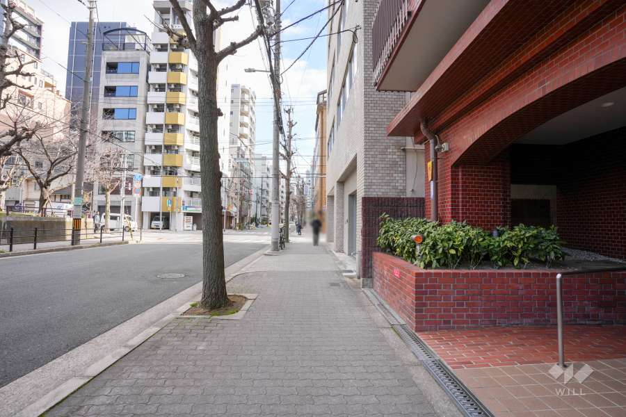 敷地北側の前面道路
