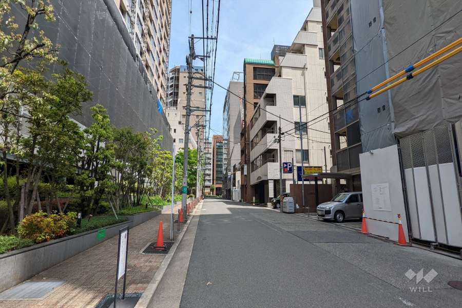 敷地南側の前面道路(西側から)