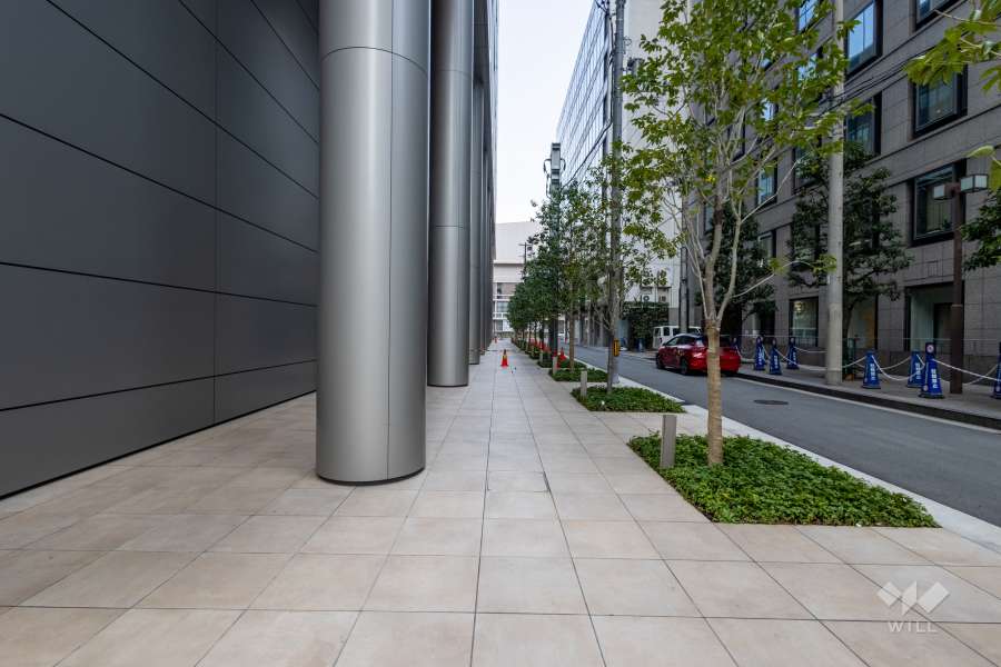 敷地東側の前面道路（南側から）