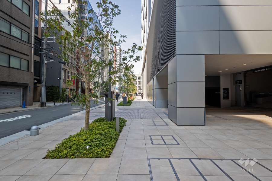 敷地の西側前面道路（南側から）