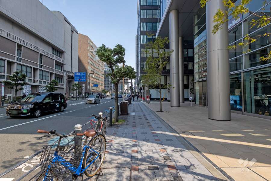 敷地北側の前面道路（西側から）