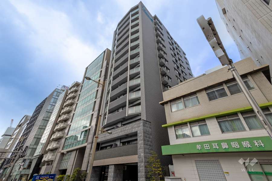 プレサンスロジェ心斎橋の外観（南東側から）