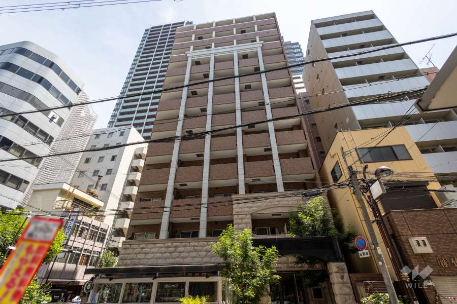 プレサンス心斎橋タイミックスの外観（西側から）