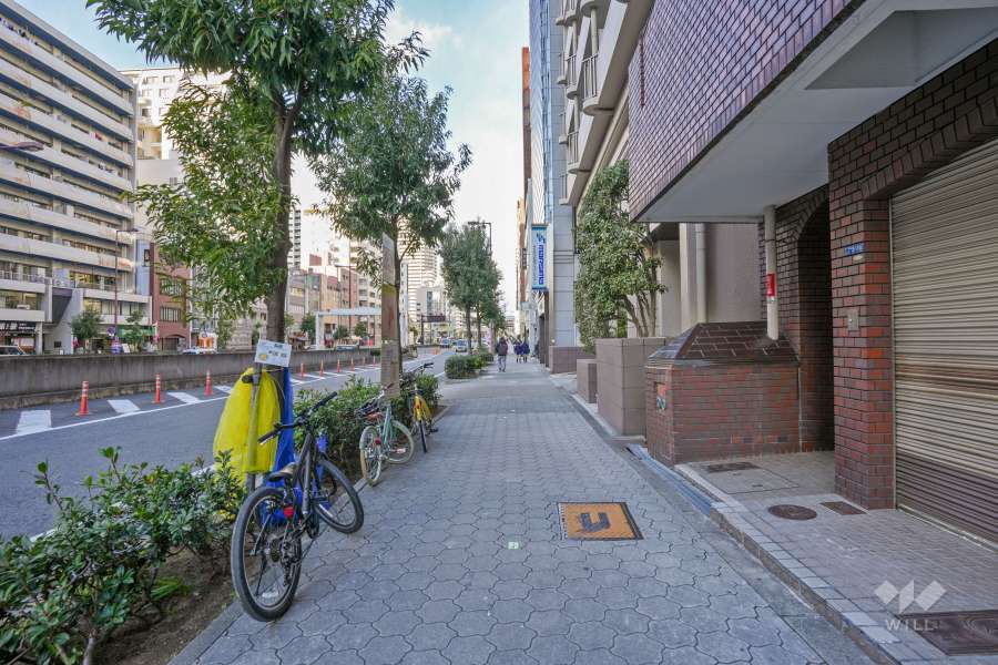 敷地西側の前面道路（南側から）