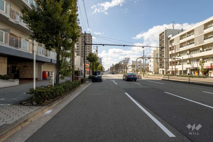 敷地西側の前面道路（北側から）