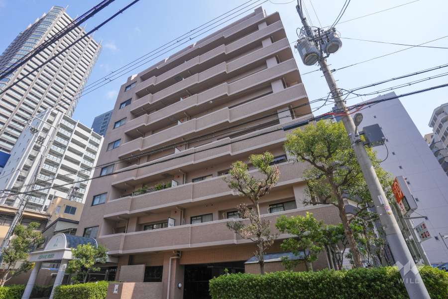 メロディーハイム高麗橋の外観（南西側から）