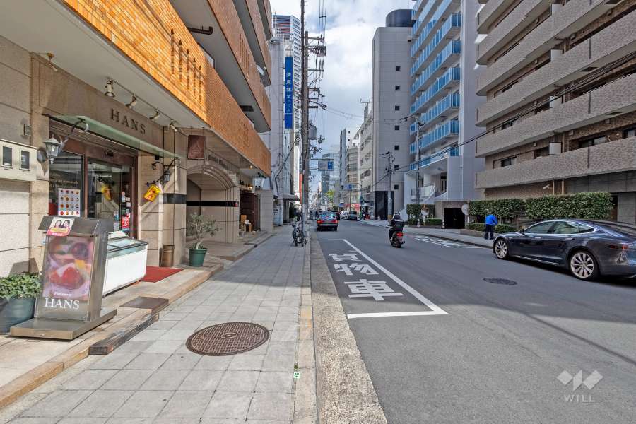 敷地南側の前面道路（西側から）