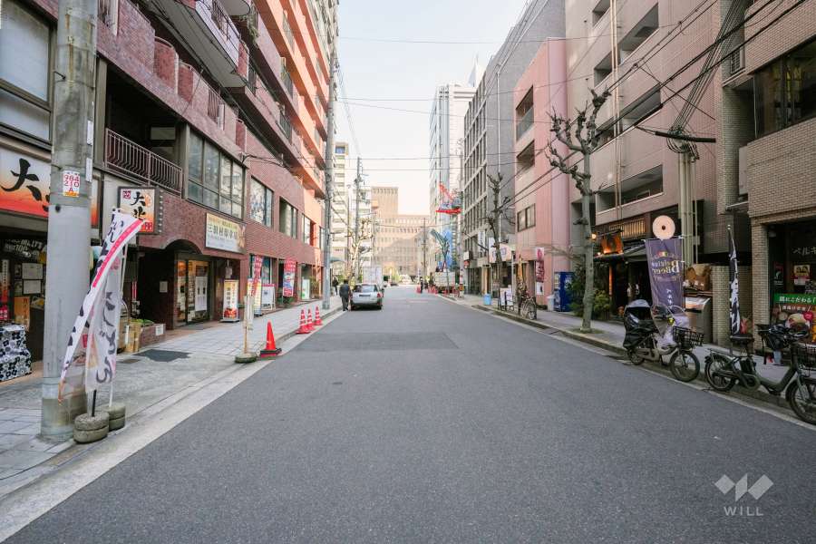 敷地の南側前面道路（西側から）