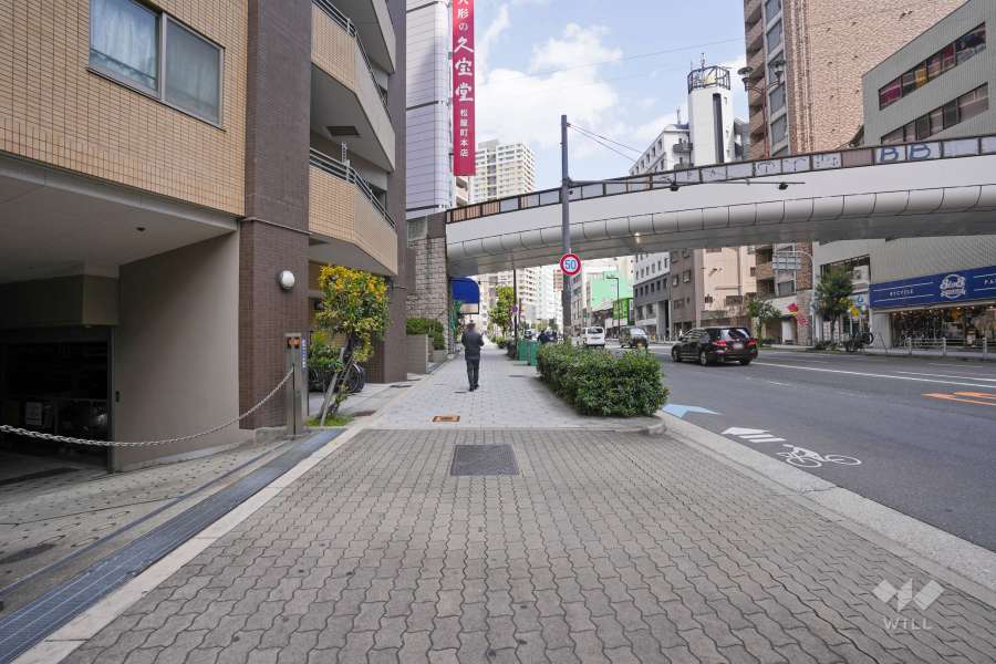 敷地南側の前面道路（西側から）