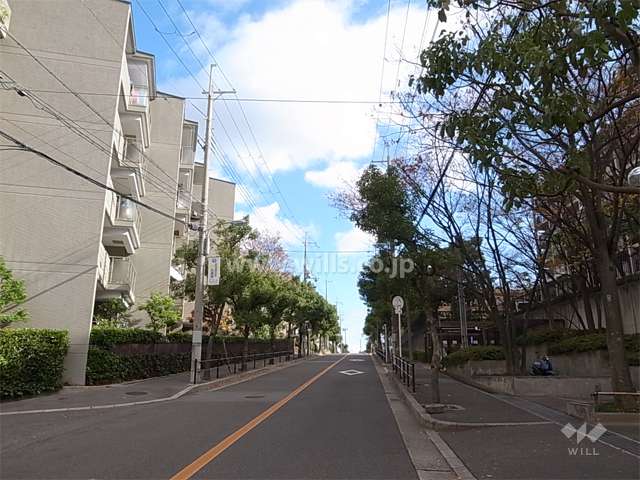 敷地南側の前面道路。街路樹のきれいな通りです。