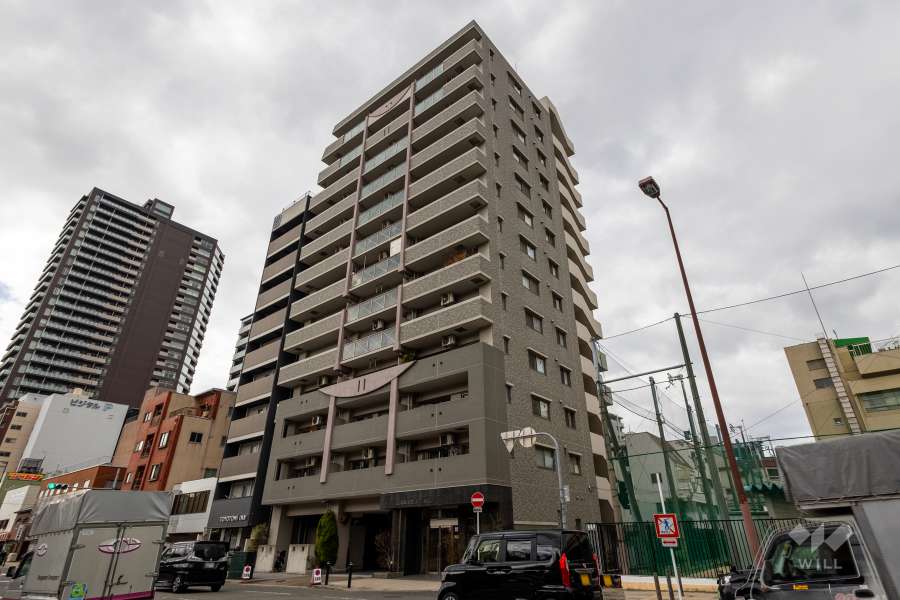 ルイシャトレ高津の外観（北東側から）