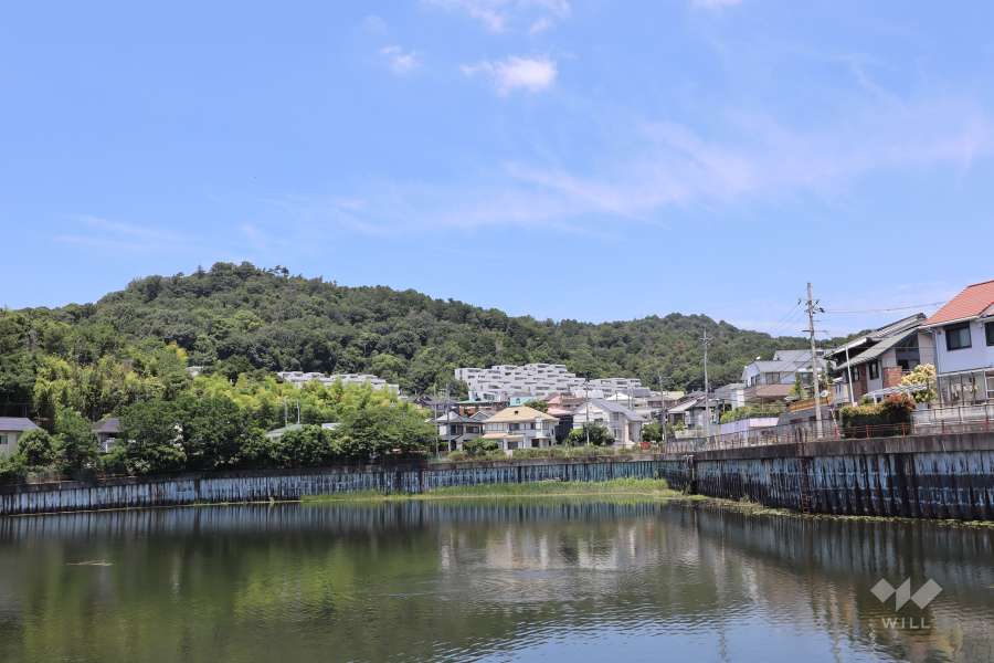 藤和ライブタウンの遠景