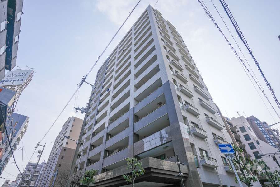 ロイヤルメドゥ東心斎橋の外観（北東側から）