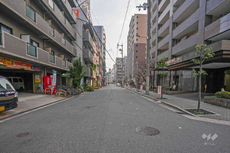 敷地の東側前面道路（北側から）