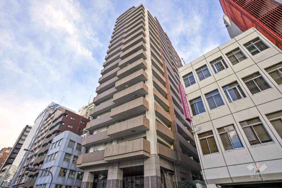 ロイヤル谷町タワーの外観（南西側から）