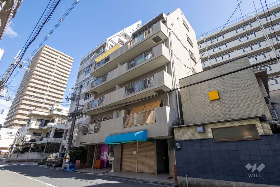 高津ロイヤルハイツの外観（南西側から）