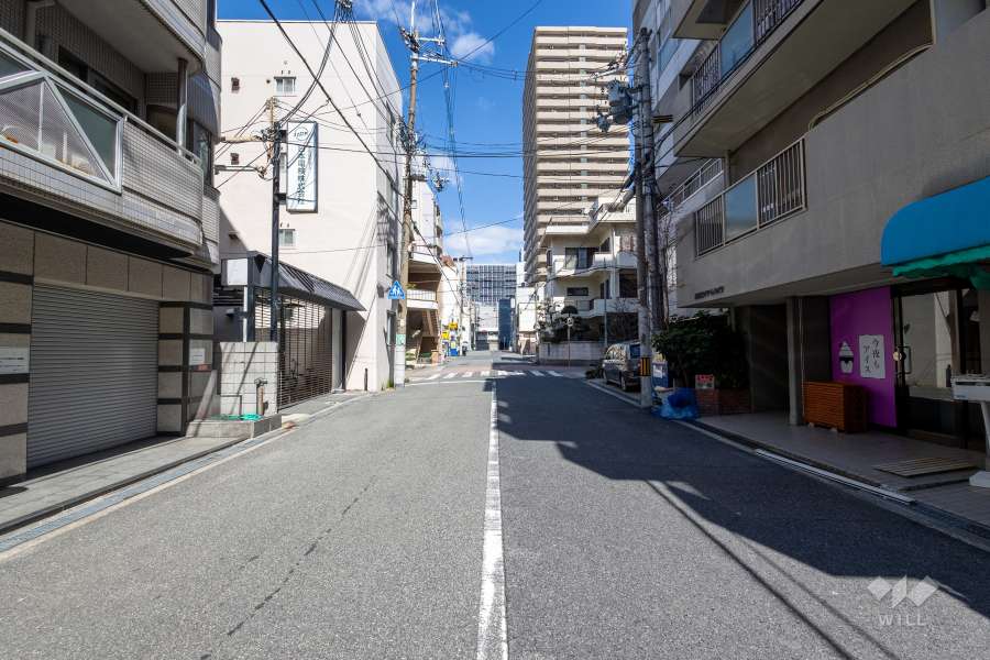敷地の西側前面道路（南側から）