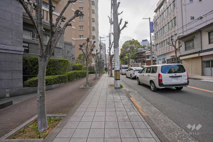 敷地北西側の前面道路（北東側から）