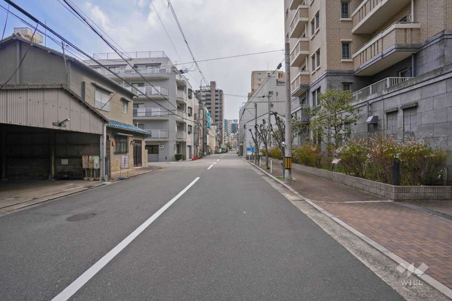 敷地東側の前面道路（北側から）