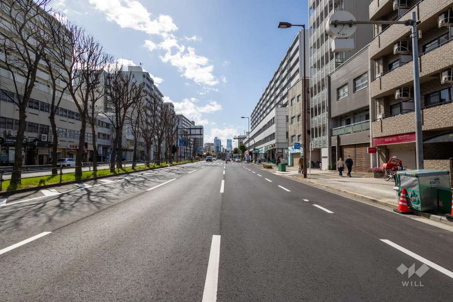 敷地の東側前面道路（北側から）