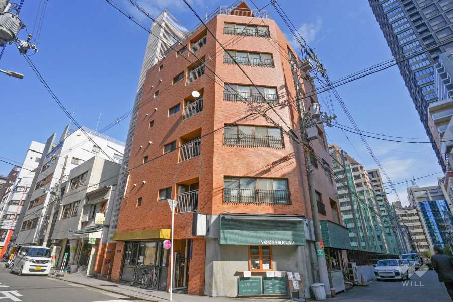 大手前ハウスの外観（南西側から）