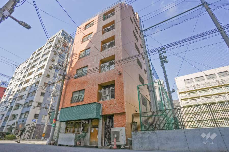 大手前ハウスの外観（南東側から）