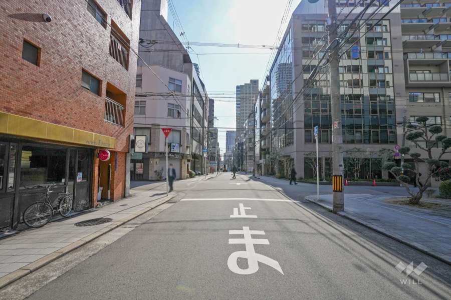 敷地西側の前面道路（北側から）