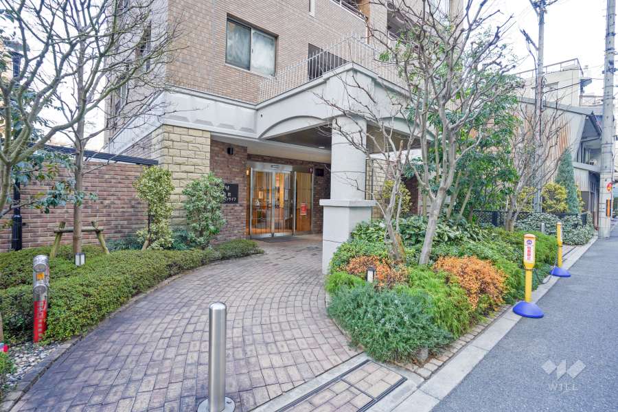 エントランスアプローチ