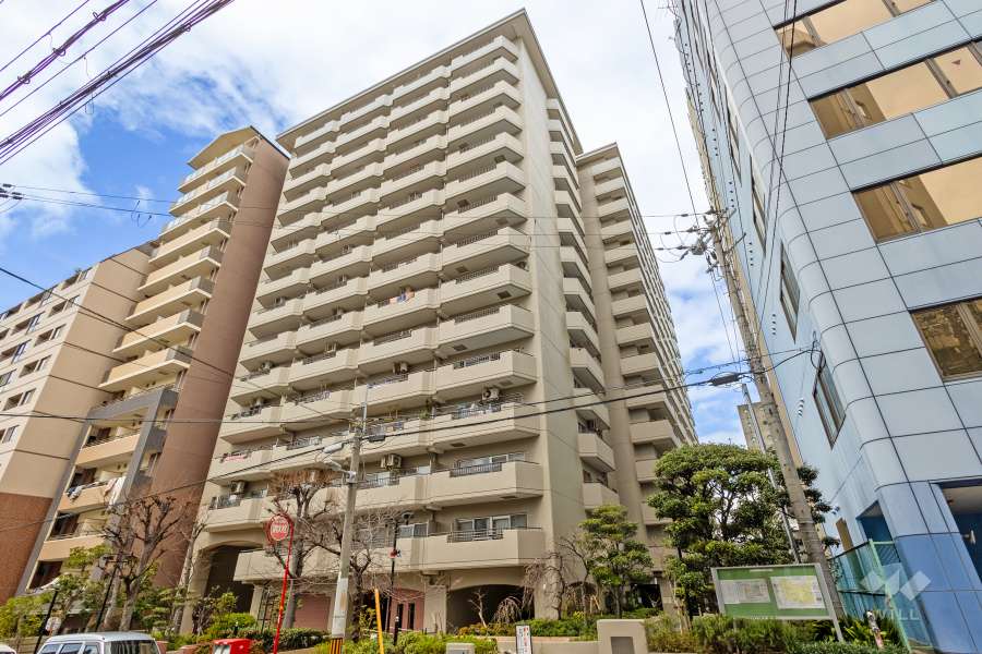 谷町グランドハイツの外観（南東側から）