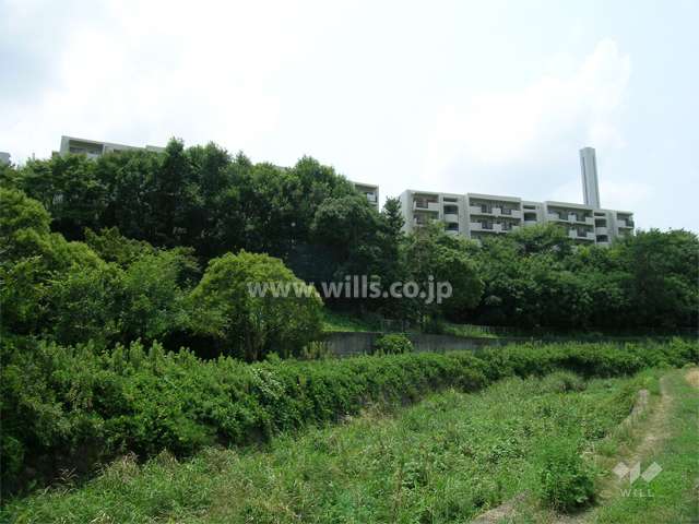 北側の北側は森になっており、川が流れています