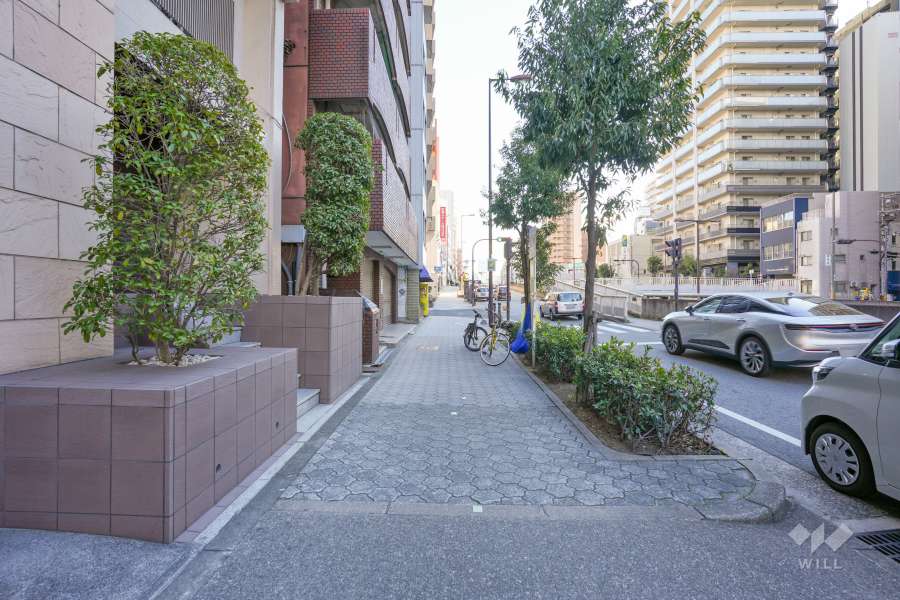 敷地西側の前面道路（北側から）
