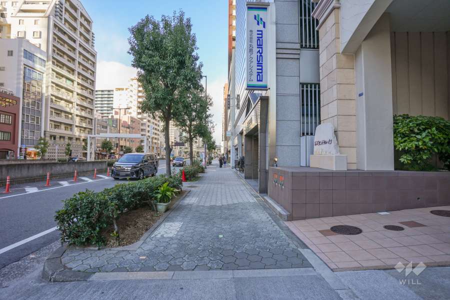 敷地西側の前面道路（南側から）