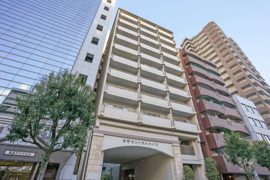谷町セントラルハイツの外観（北西側から）