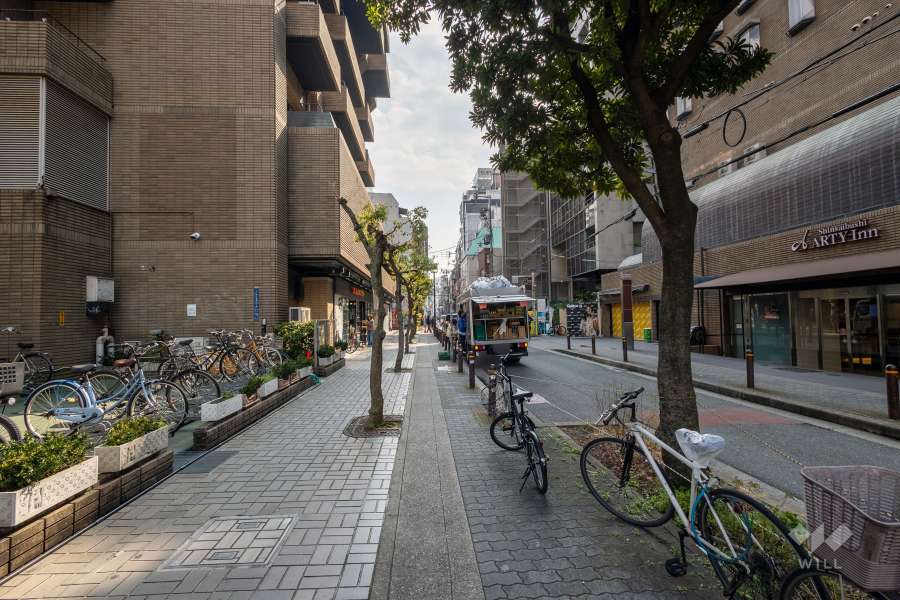 敷地の西側前面道路（北側から）