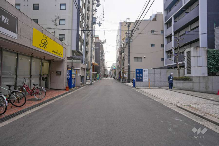 敷地の西側前面道路（北側から）