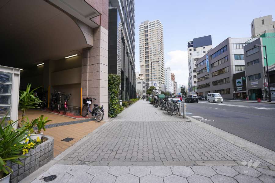 敷地の南側前面道路（西側から）