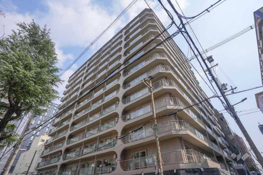 天満橋スカイハイツの外観（南西側から）