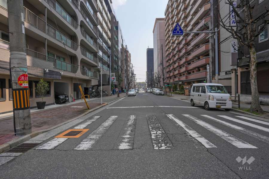 敷地の南側前面道路（西側から）