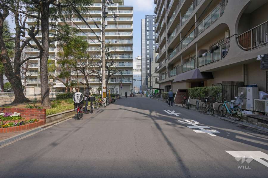 敷地の西側前面道路（南側から）