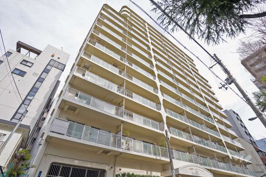 天満橋ニュースカイハイツの外観（南西側から）