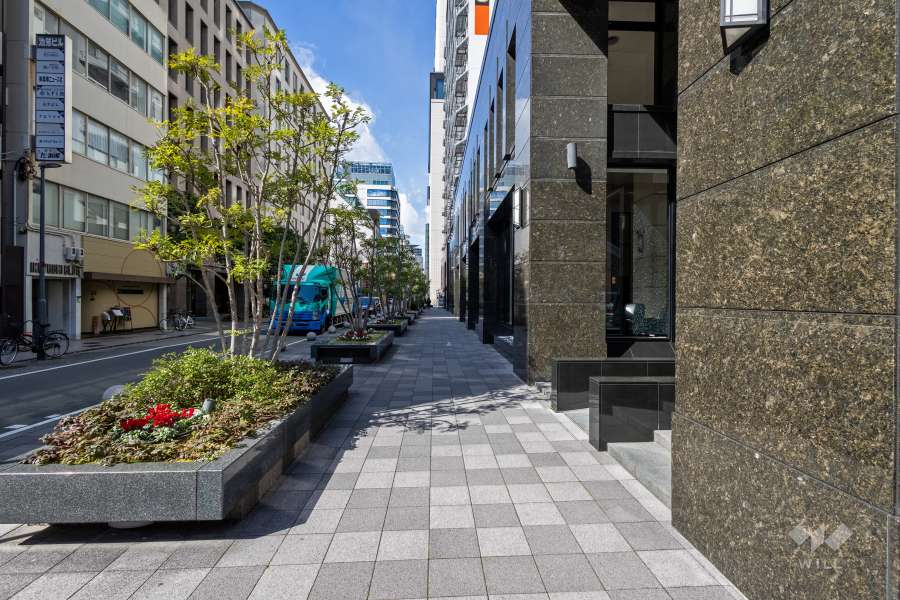 敷地南側の前面道路（東側から）