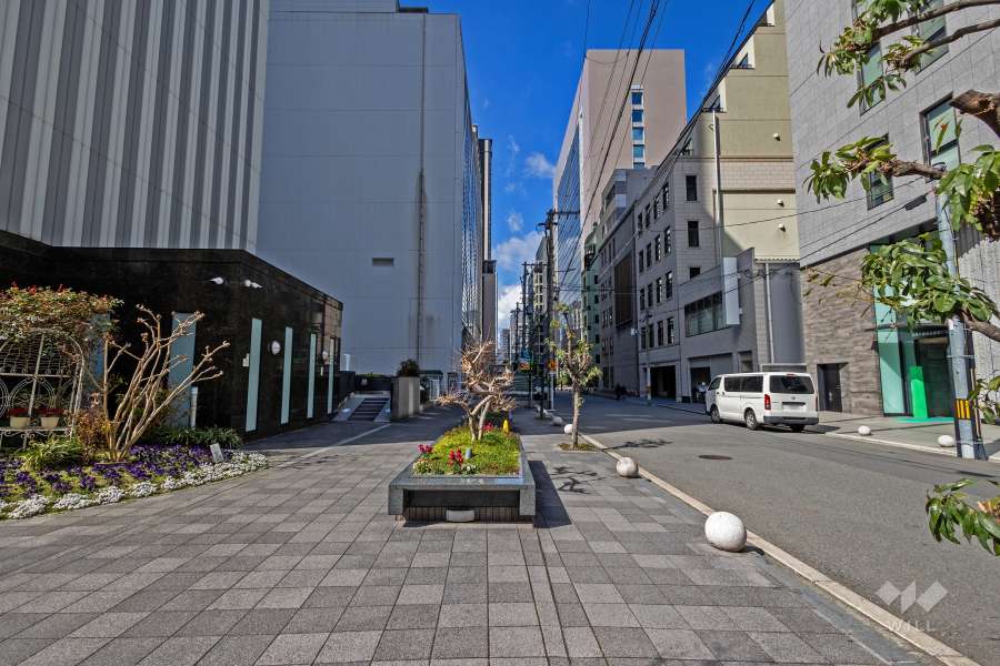 敷地南側の前面道路（西側から）