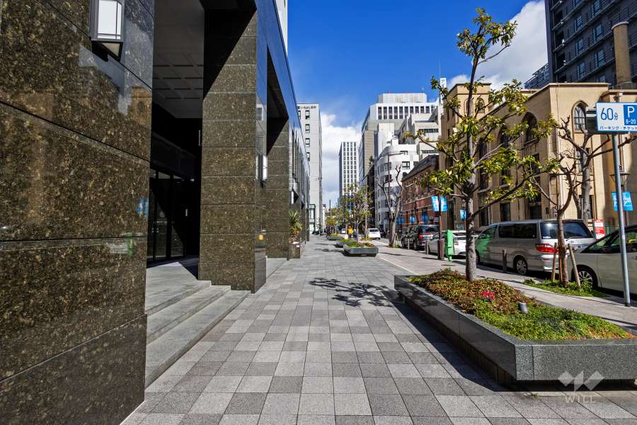 敷地東側の前面道路（南側から）