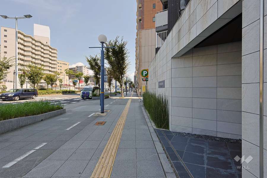 敷地北側の前面道路（西側から）