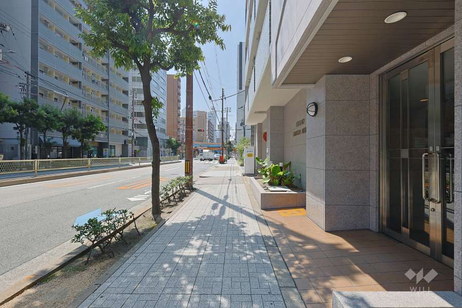 敷地の東側前面道路（北側から）