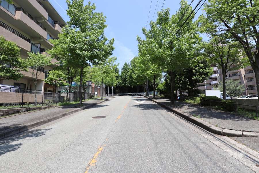 敷地北側の前面道路（西側から）