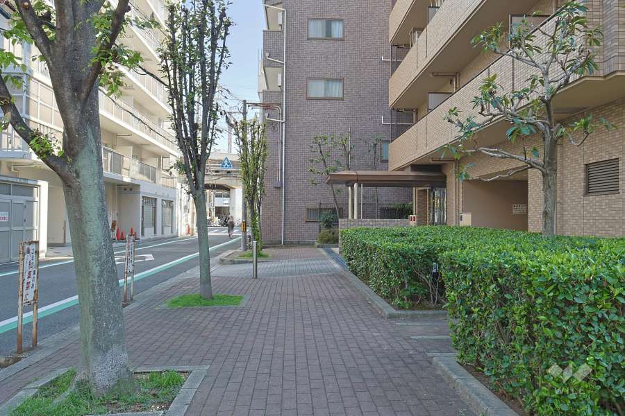 敷地の東側前面道路（北側から）